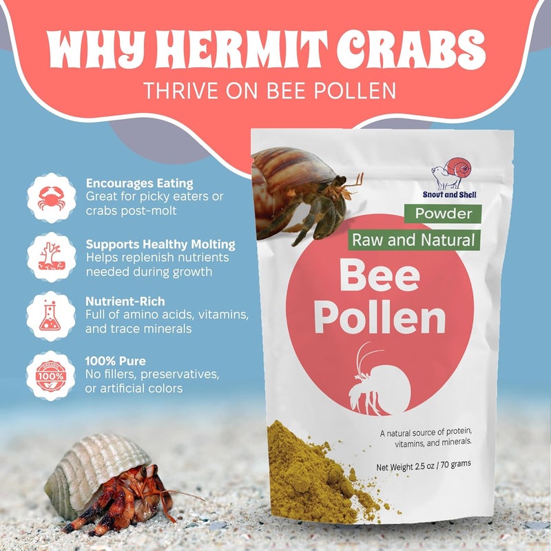 Snout and Shell Bee Pollen Powder for Hermit Crabs – Natural Food Supplement for Molting & Recovery – Auto Feeder Safe Powder Food Topper – No Filler Crab Nutrition Booster – 2.5 oz - Image 2